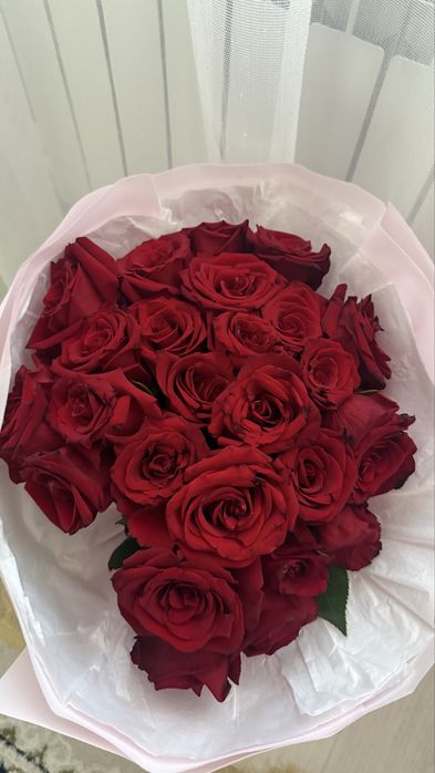 Продам цветы роза 25 шт