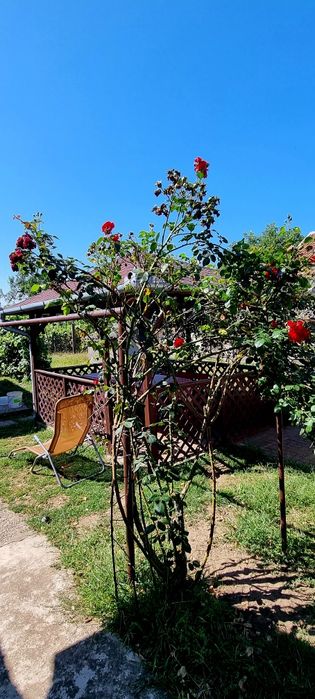 De vanzare  Casa in Valea lui mihai