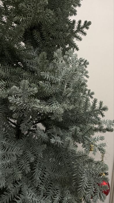 Продам елку красивую