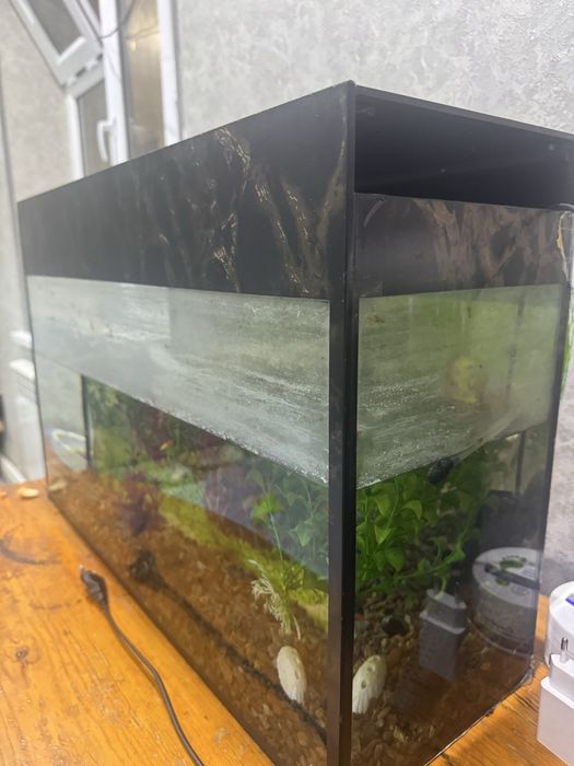 Avaryum b/u 50/10 sm