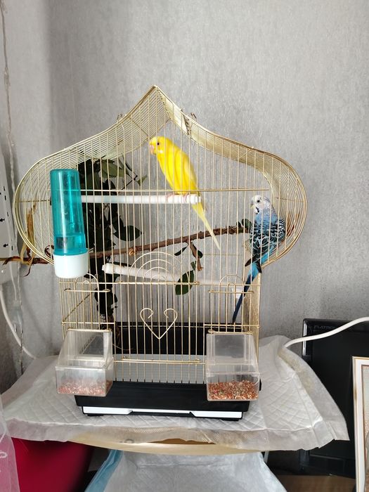 Продам клетку для попугаев! ПУСТАЯ!