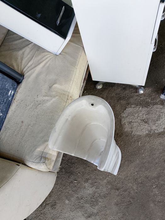 Раковина тюльпан