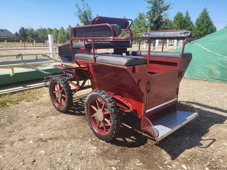 Atelaj Docar/maraton/trasura pentru 1 sau 2 cai