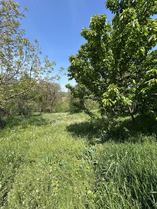 Vand casa Chidea Vultureni