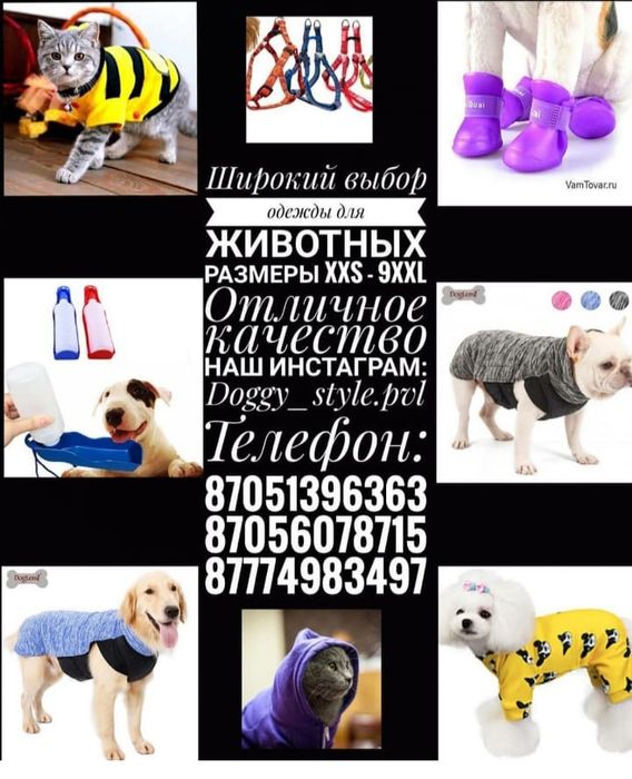 Одежда для собак