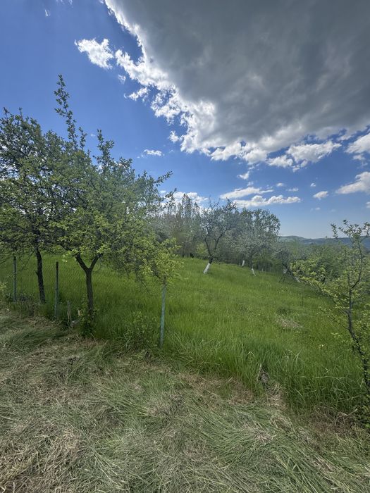 Casa si teren de vanzare, Cepari, Arges
