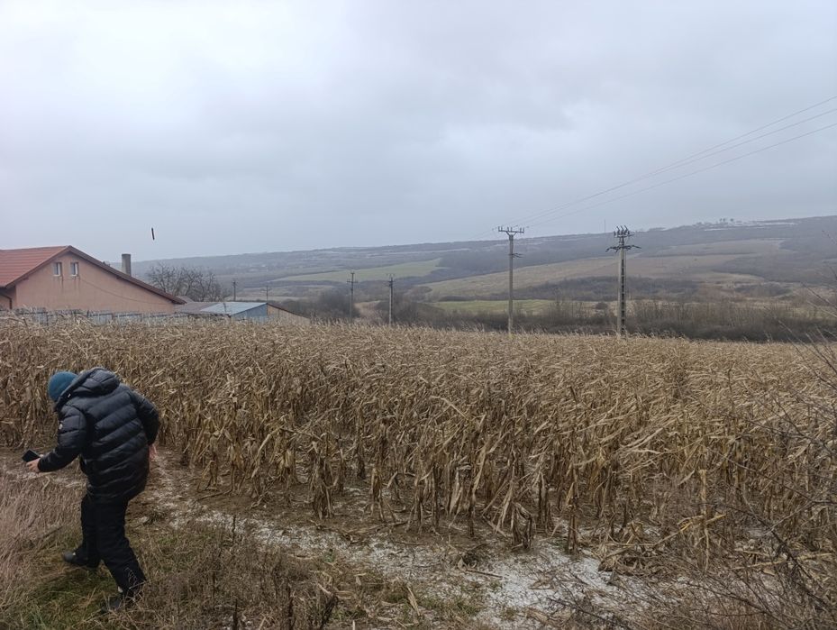 Vad teren la intrare in comuna schitul duca