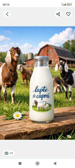 De vânzare lapte de capră