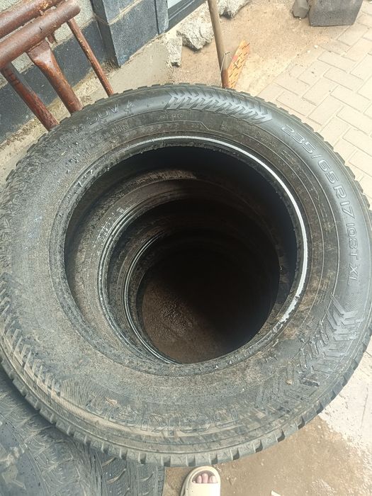 Шины зимние Nokian