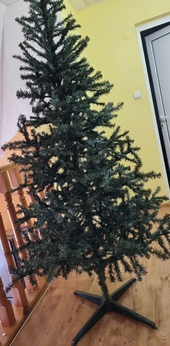 Коледна елха   .