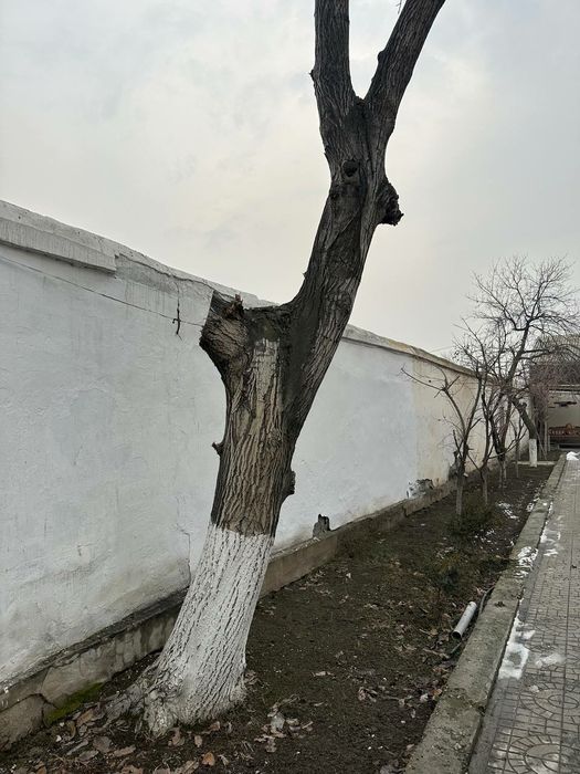 Ёнгок сотилади холати яхши