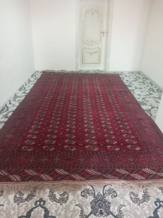 Turkman g'oli sotiladi