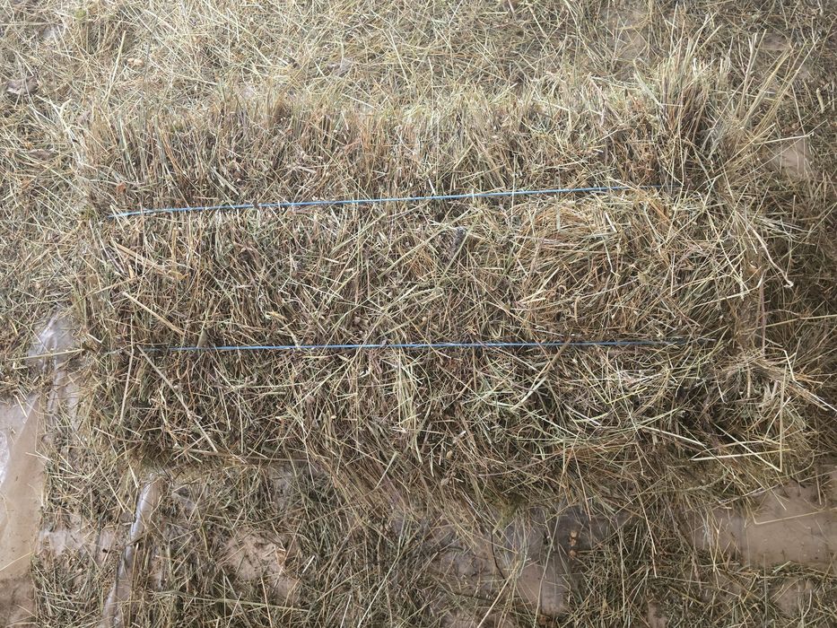 Baloti de fan,nepoluati