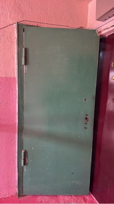 Металлическая дверь