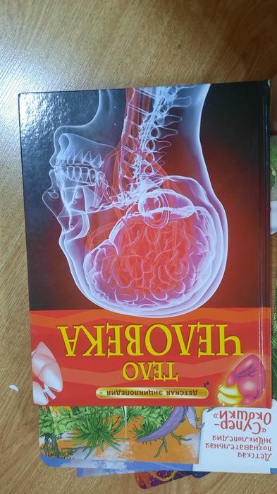 Энциклопедии детские