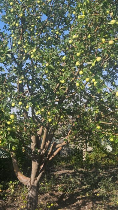 Продам дачу в районе Бугорки