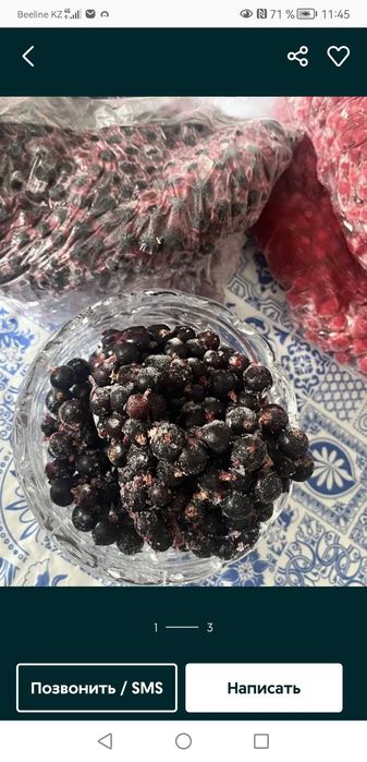 Чёрная смородина, мороденнач