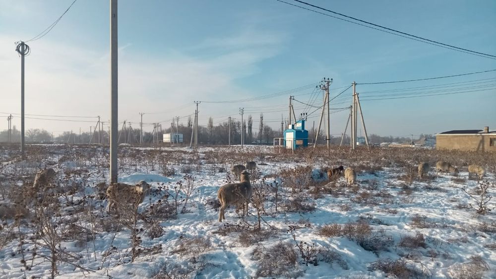 Участок 30 соток