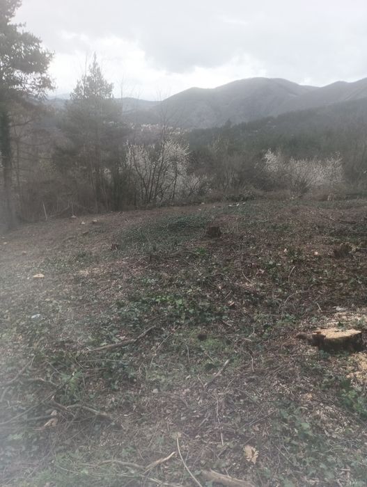 Почистване на парцели имоти дворове