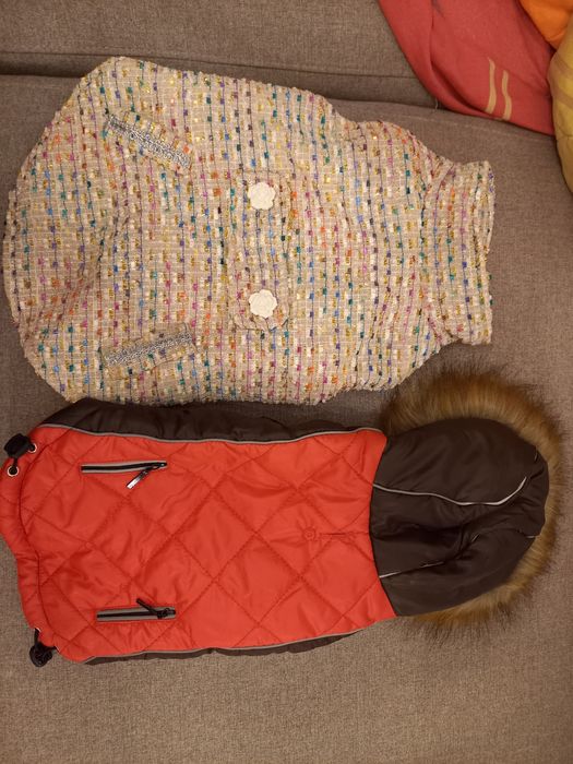 Lesa, zgarda si hainute catei