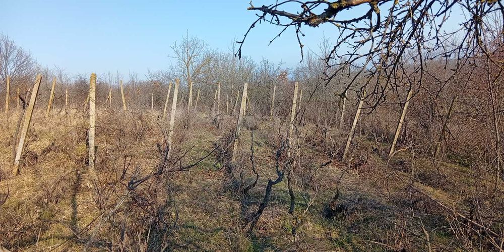 Парцел с.Звездица