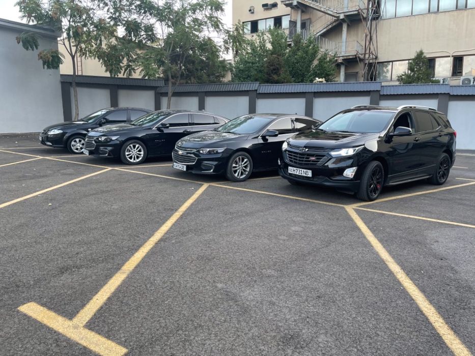 Авто прокат, rent a car