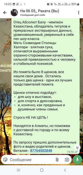 Продам элитных щенков немецкой овчарки