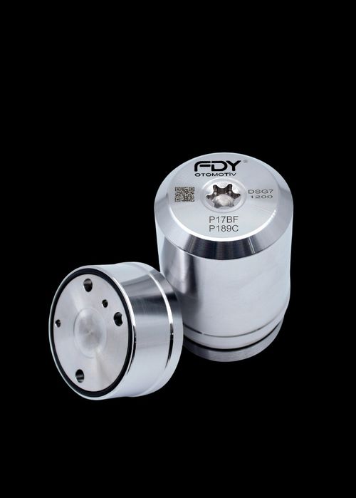 DSG 7 (FDY) Гидроаккумулятор