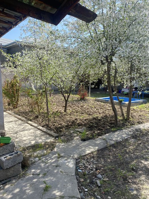 Сергели 2 Продается земля  6.18 соток старт 184000 , фасад 25х25