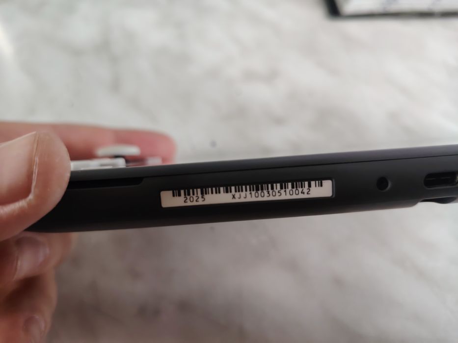 Nintendo Switch Light