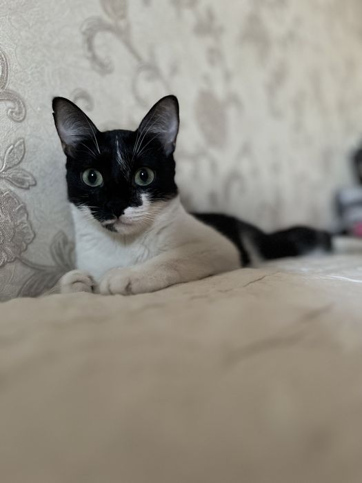 В самые добрые руки