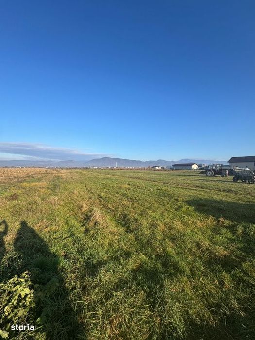 Teren de vanzare – Mocira, jud. Maramures 18 ari