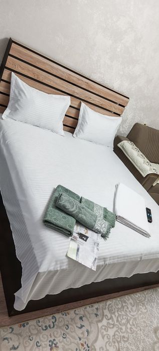 1-Квартира  Почасово -2 часа 4000т, далее -1500т/час.Wi-Fi.Смарт ТВ.