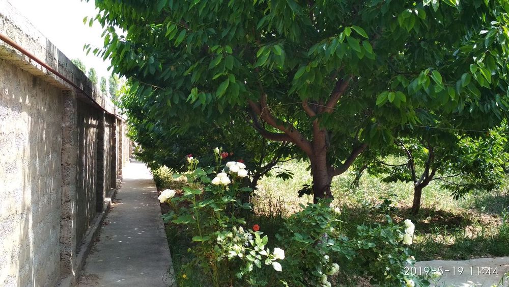 Ер сотилади ( 8 сотих)