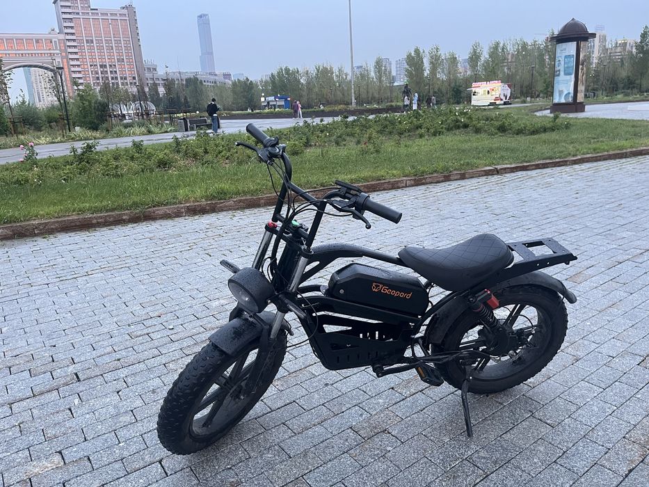 ЭлектроВелосипед Geopard Harley Y9 Ebike