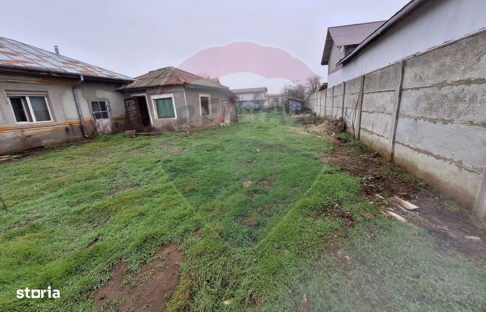 Teren intravilan de vanzare | Cernica – Tanganu | 808 mp