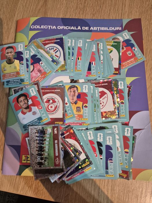 Panini world cup 2026