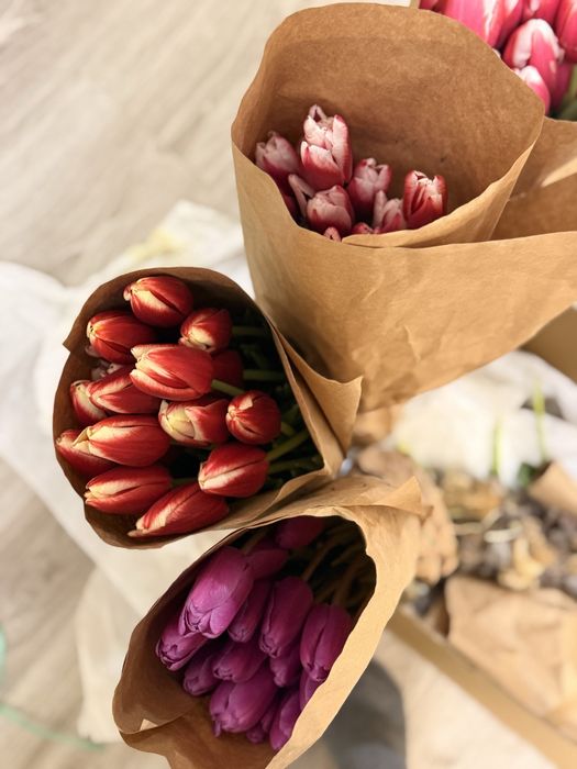 Тюльпаны беларусь свежие