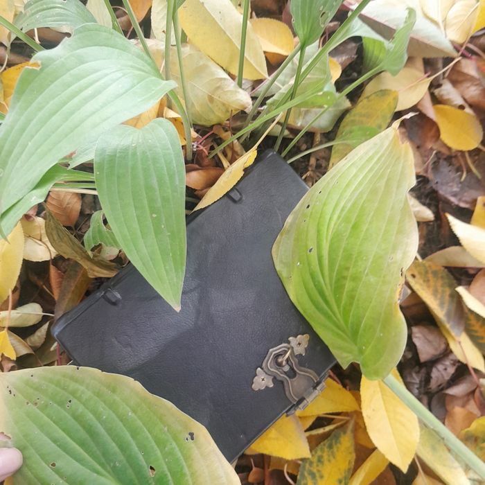 Книга Теней Гримуар