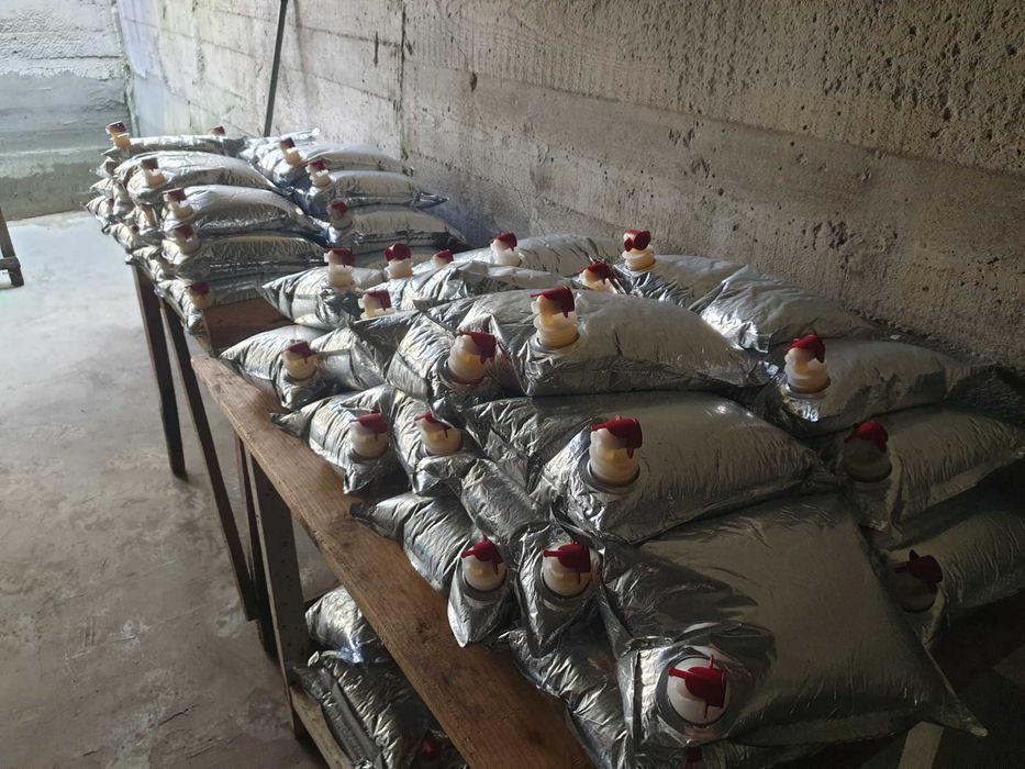 SUC de MERE BIO 100%