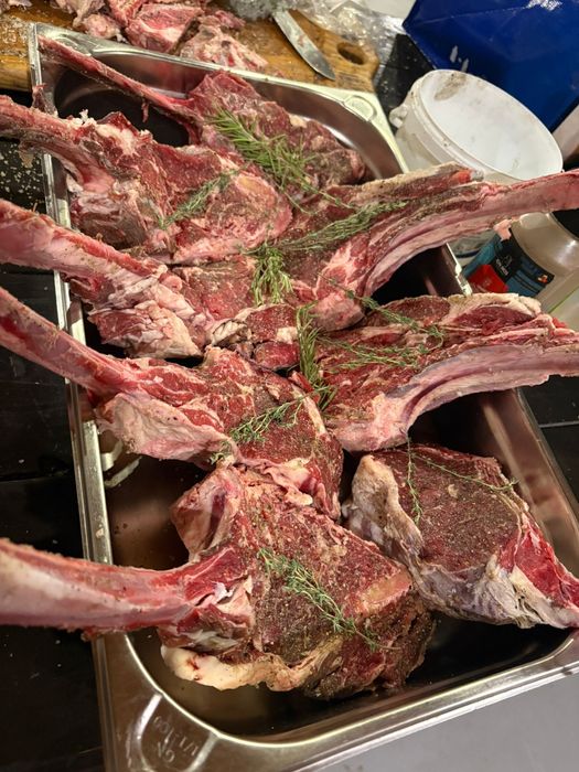 Protap ,grill si Bqq