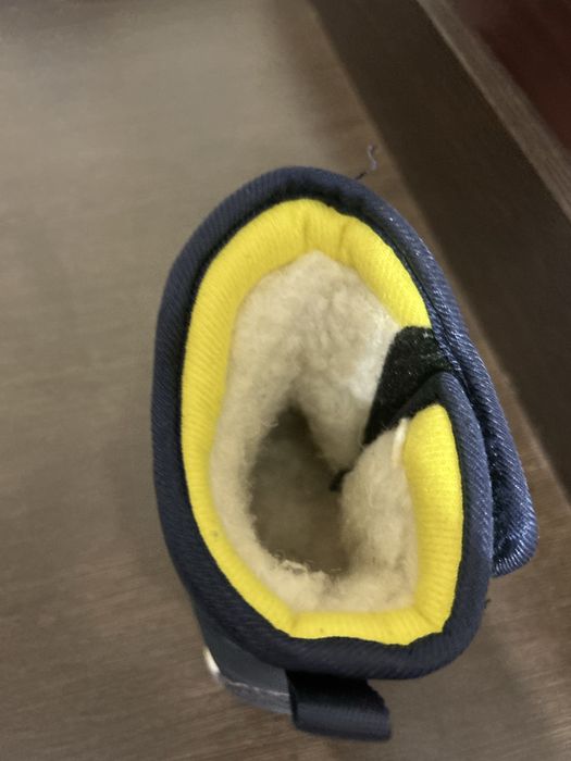 Сапоги детские на мальчика