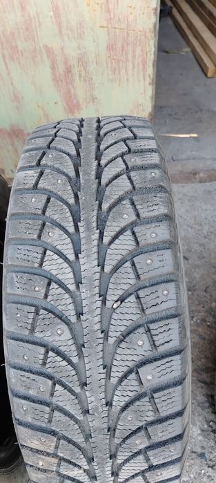 Продам шина на R15