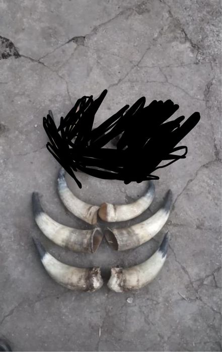 Кукерски маски и рога