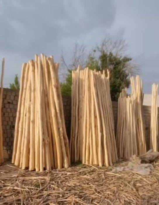 Тосин тусин страпмл оптим терак махсулотлри