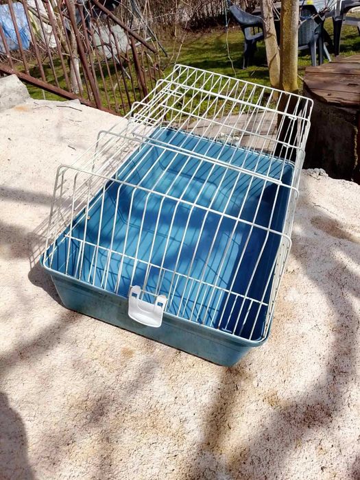 Продавам калифорнийски зайци