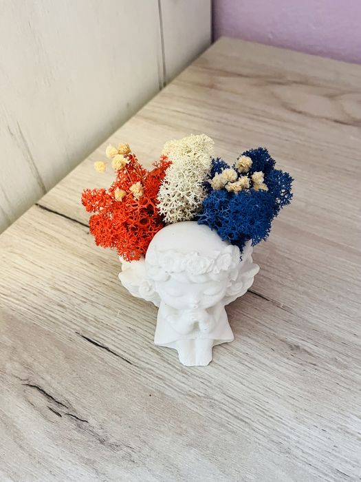 Кашпи със скандинавски мъх