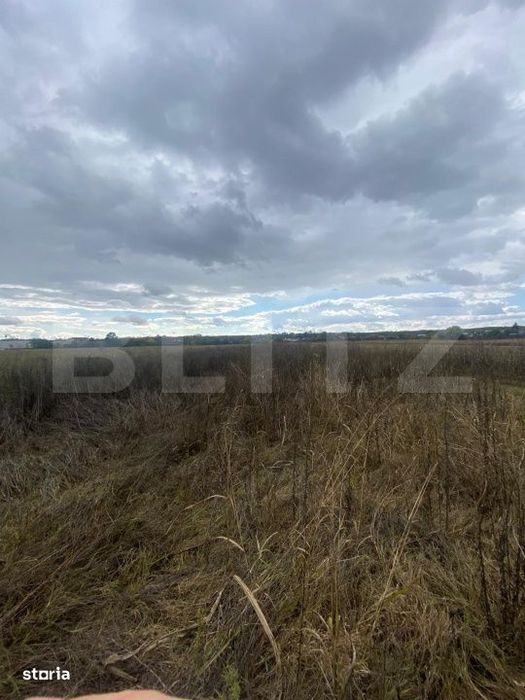 Teren extravilan, 2500 mp, zona Lucieni