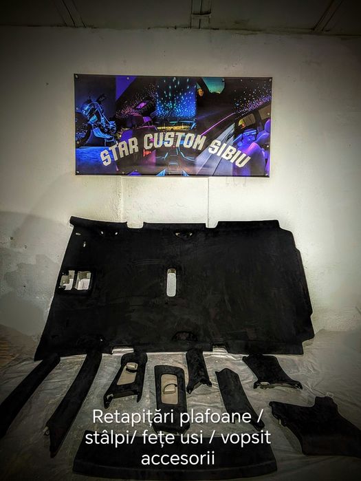 Ambientale / Retapitari / Plafon instelat / Diagnoza/Detailing/Polish