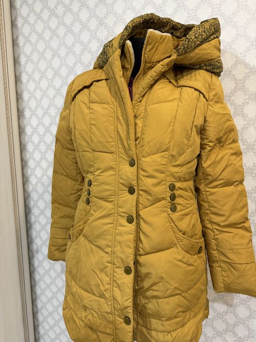 Отдам куртки весна зима осень